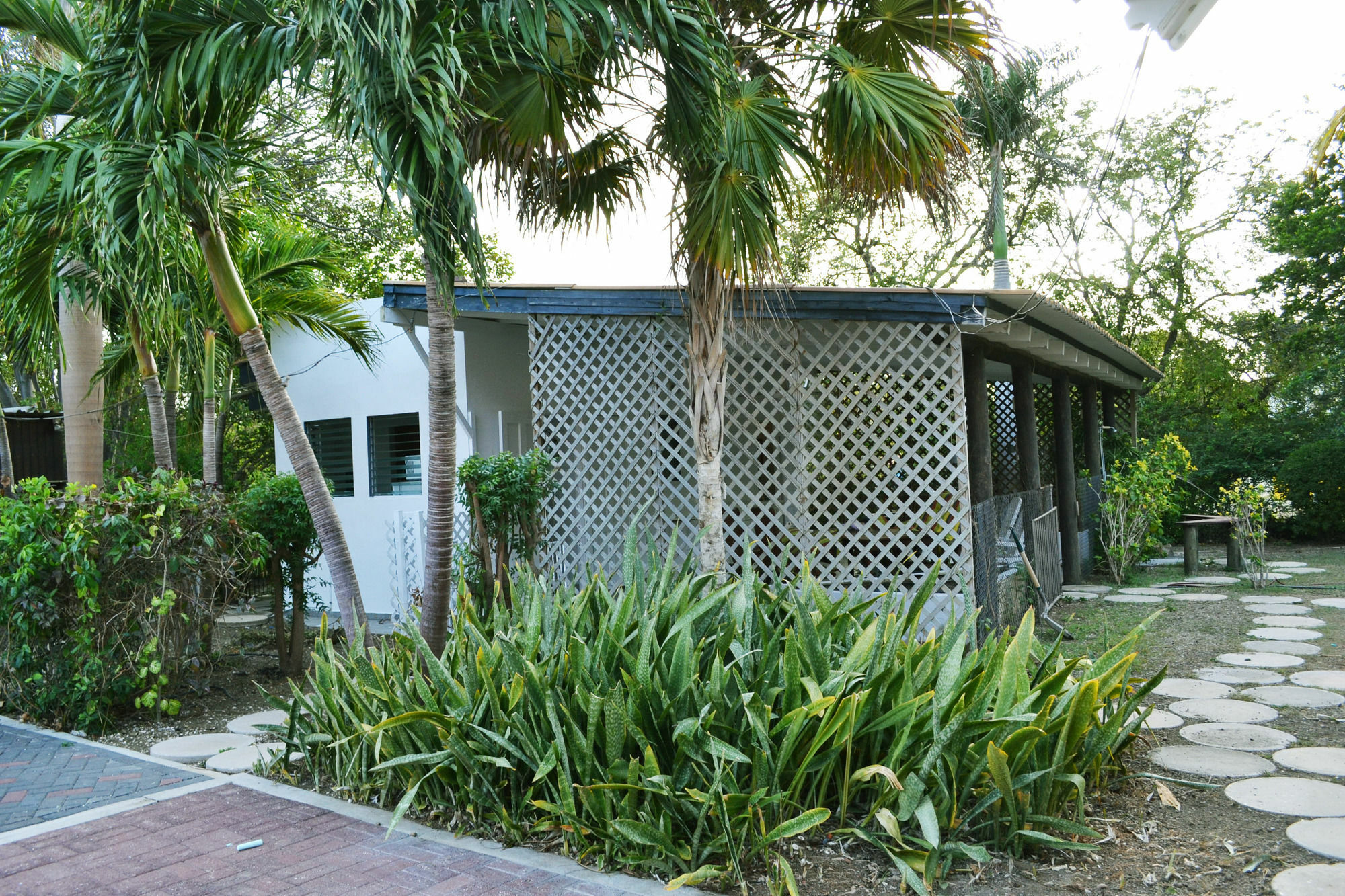 Palm Trees Apartments Willemstad Dış mekan fotoğraf